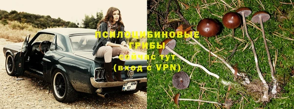спиды Верея